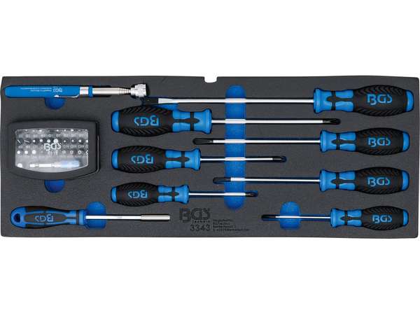 Náraďový modul - BGS103343 Skrutkovače a sada bitov s magnetom. Pre BGS 103312 (Sada 41 dielov)
